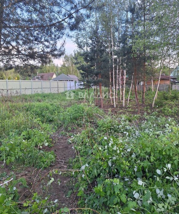 земля городской округ Богородский г Ногинск снт Электрон фото 2