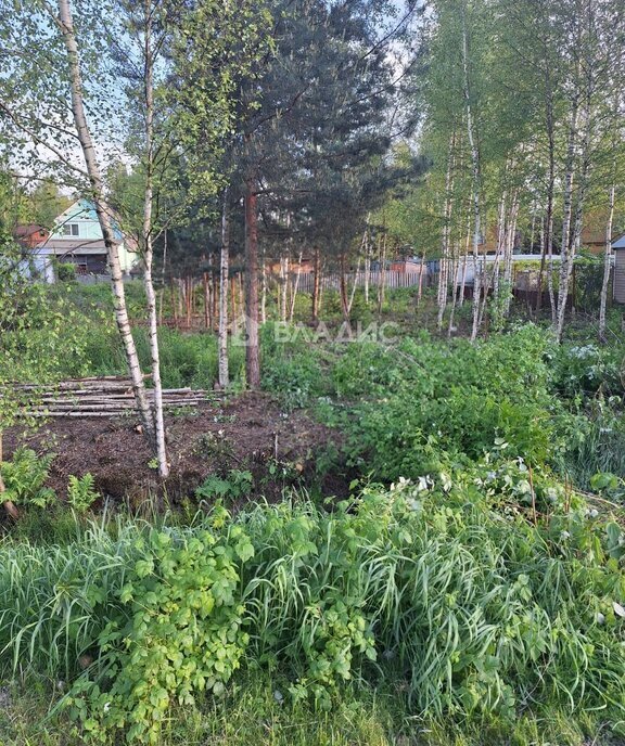 земля городской округ Богородский г Ногинск снт Электрон фото 5