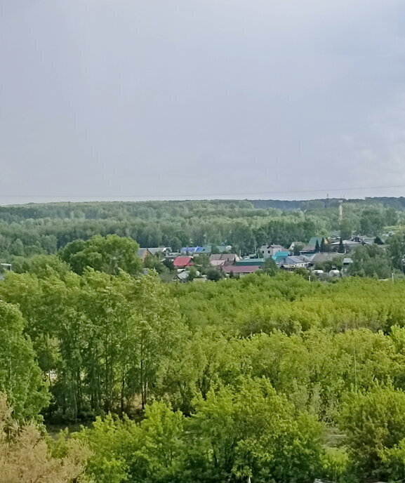 квартира г Кемерово р-н Заводский пр-кт Молодежный 29 ЖК «Березовая роща» фото 18
