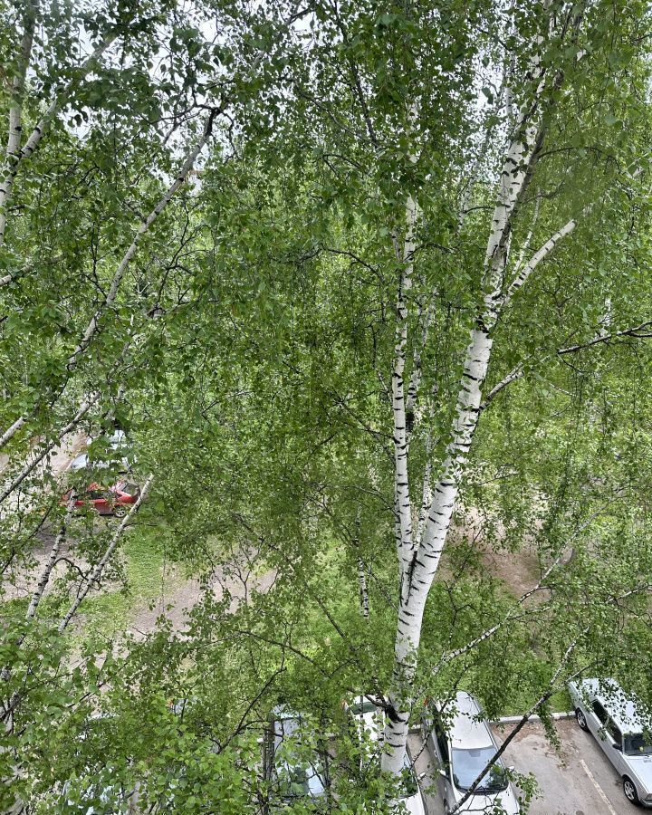 квартира г Екатеринбург р-н Верх-Исетский ул Крауля 80/1 фото 13