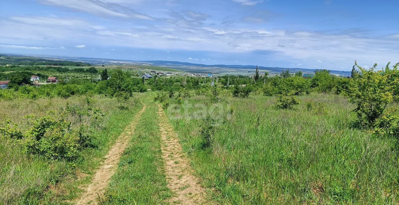 земля г Новороссийск ст-ца Раевская фото 5