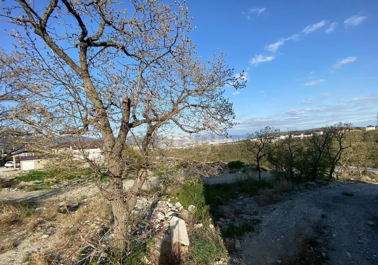 земля г Новороссийск р-н Приморский Александрийская ул., 124 фото 11