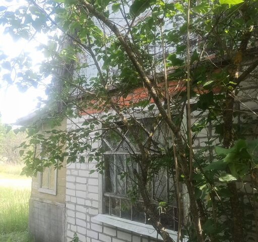 снт Ландыш Черницынский сельсовет, Сектор 4, Дьяконово фото