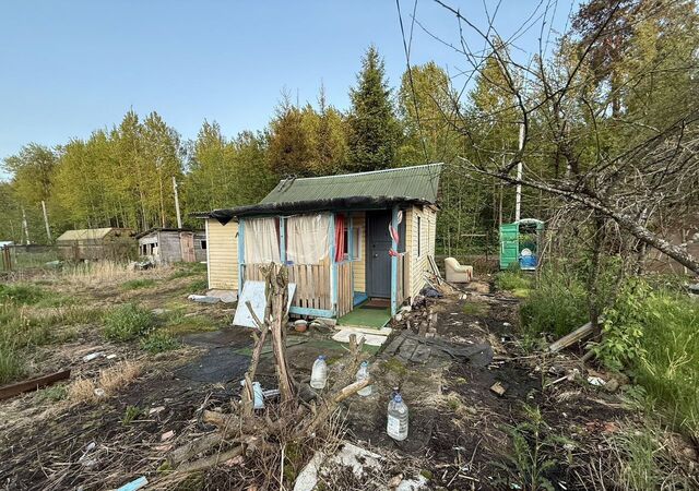 р-н Петродворцовый ул Лесная 212 садоводческое некоммерческое товарищество Красные Зори фото