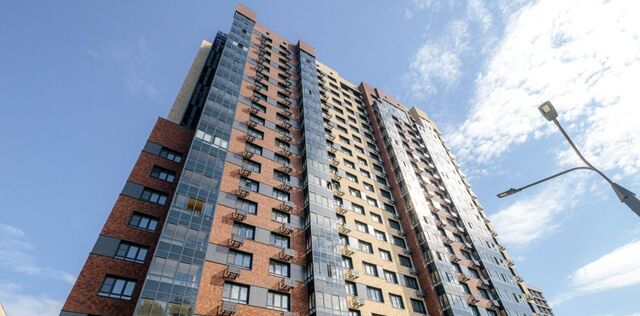 метро Дубровка ул 1-я Машиностроения 5а фото
