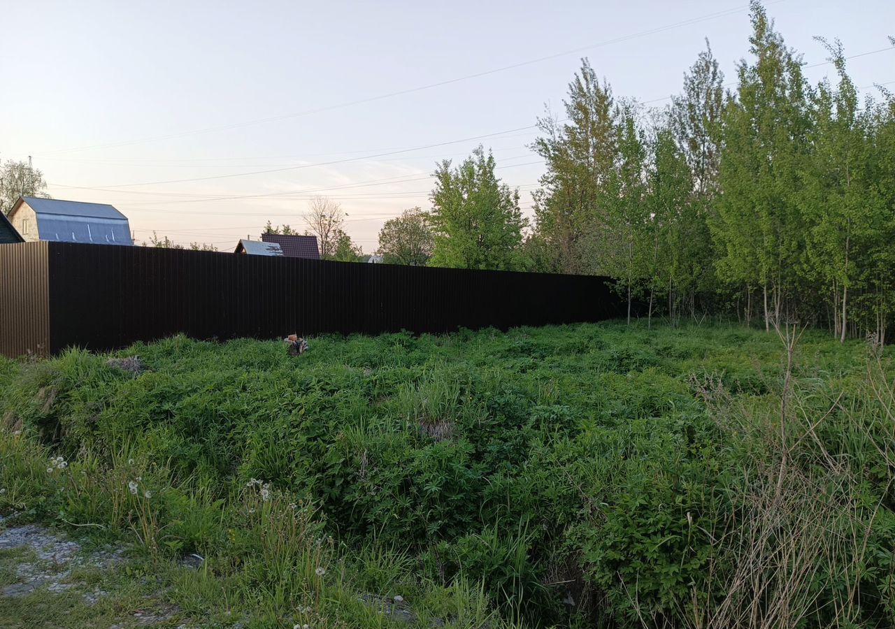 земля городской округ Богородский г Ногинск снт Березка-354 41 км, 88, Горьковское шоссе фото 1