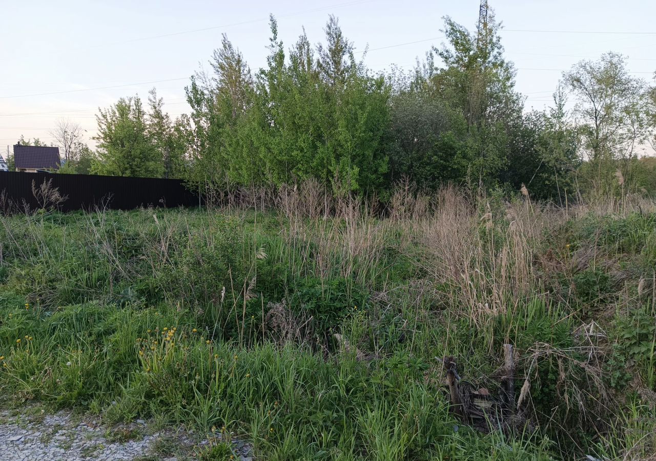 земля городской округ Богородский г Ногинск снт Березка-354 41 км, 88, Горьковское шоссе фото 3