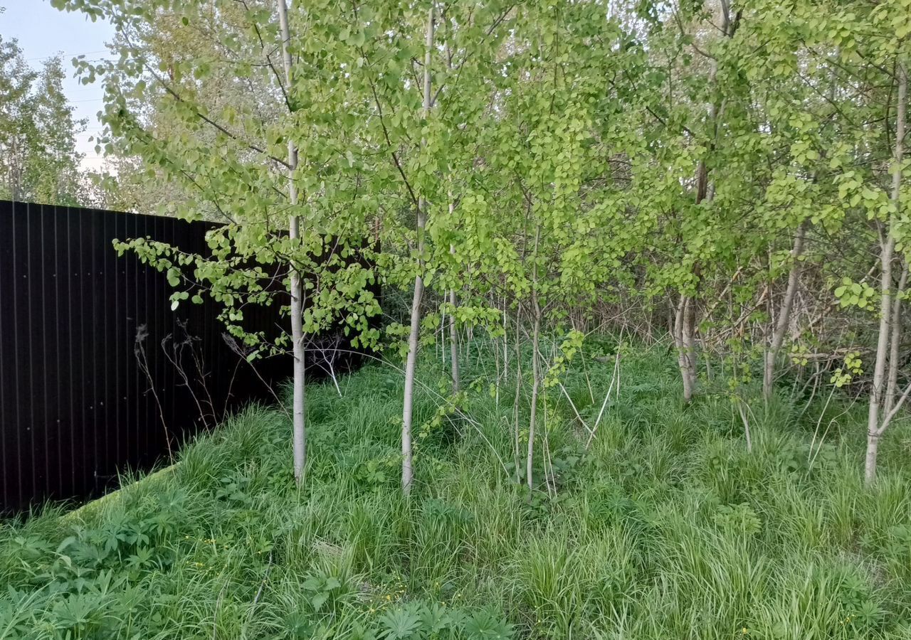 земля городской округ Богородский г Ногинск снт Березка-354 41 км, 88, Горьковское шоссе фото 8