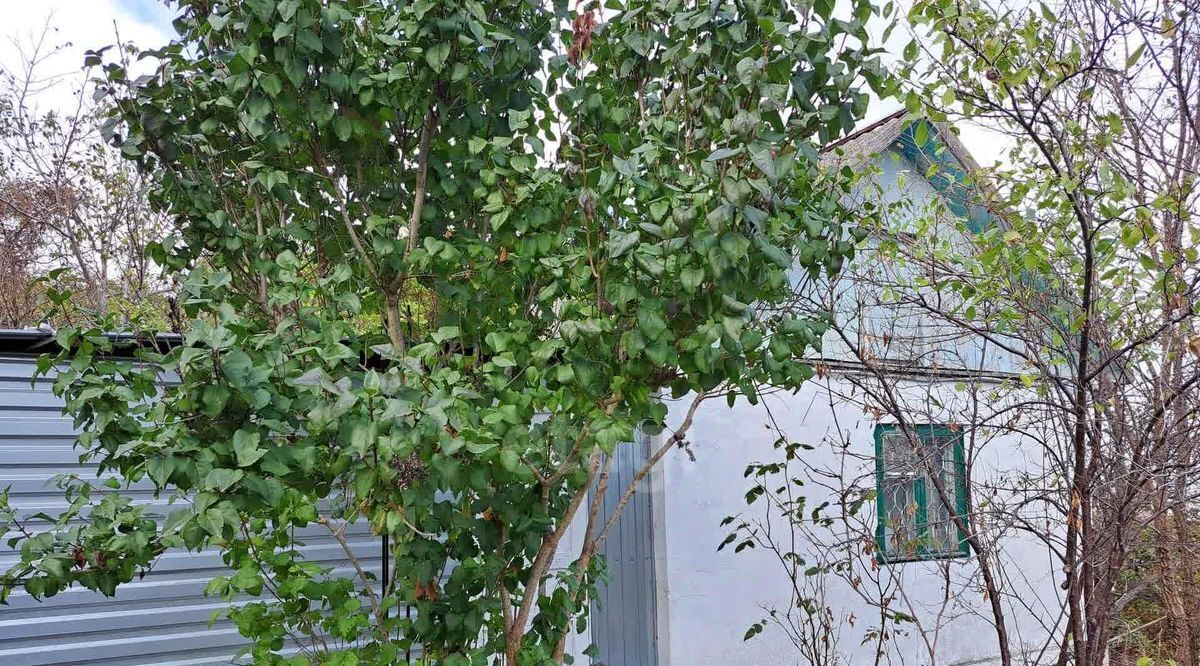 дом г Новороссийск р-н Приморский ул Интернациональная 76/36 фото 3