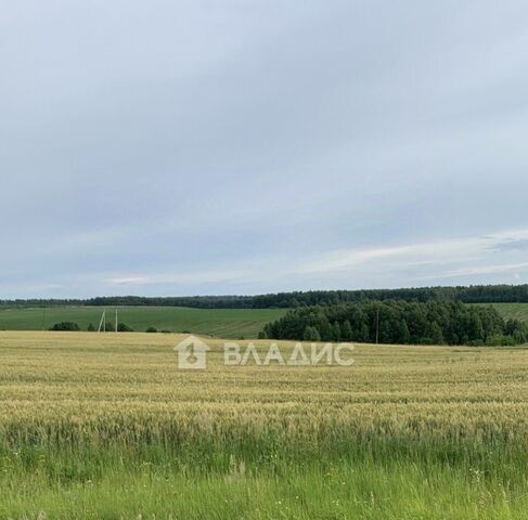 ул Волжская 5 Нижний Новгород фото