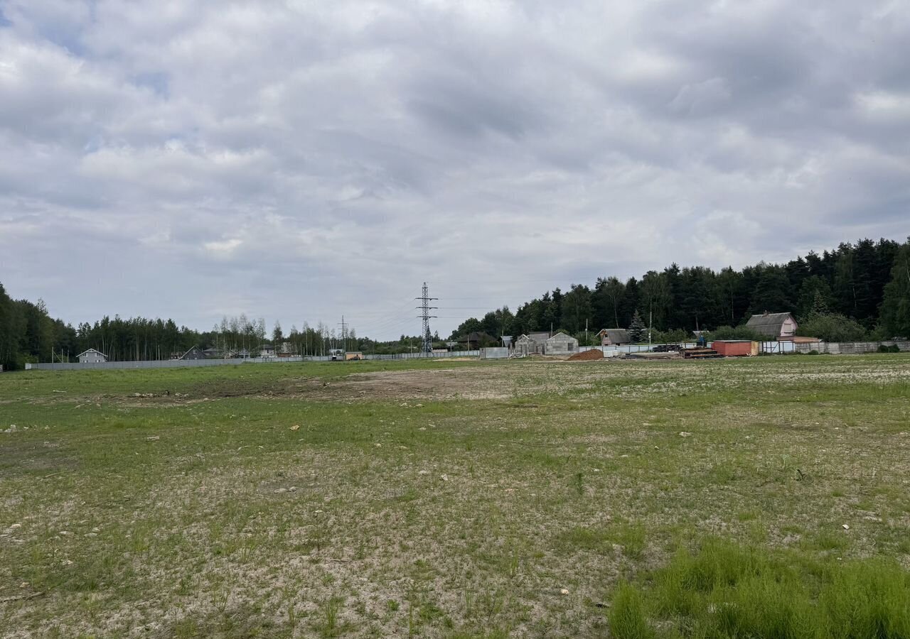 земля городской округ Богородский г Ногинск 9764 км, Орешник, г Щербинка, квартал, Горьковское шоссе фото 5