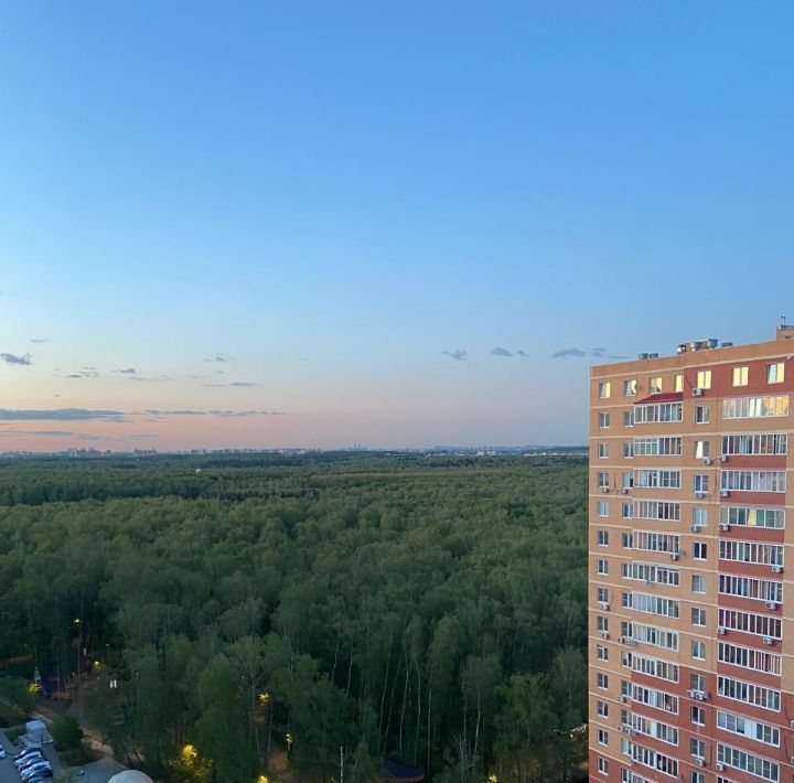 квартира г Видное ул Березовая 5 Царицыно фото 18