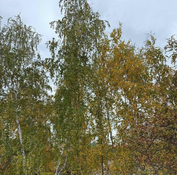 земля г Якутск ш Покровское 9йм фото 10
