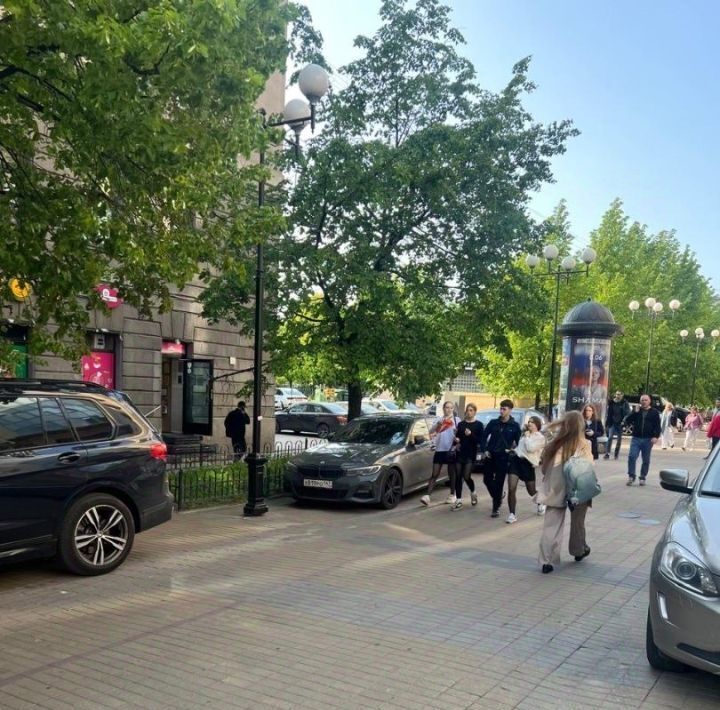 свободного назначения г Санкт-Петербург метро Петроградская пр-кт Каменноостровский 39 фото 4