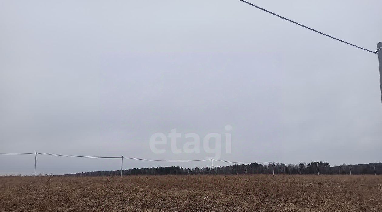 земля г Нижний Тагил р-н Ленинский фото 3