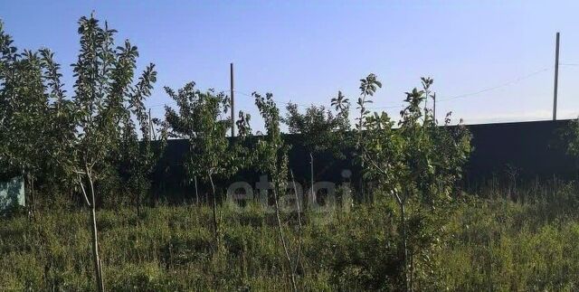 земля снт тер.Светоч ул Дубовая фото