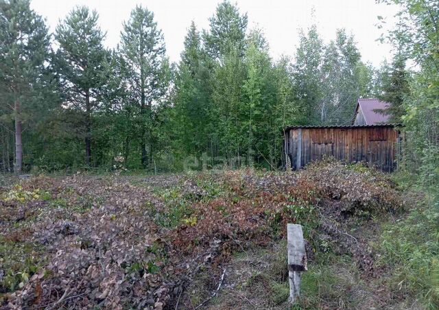 земля снт Следопыт Тюменская обл., садово-огородническое товарищество фото