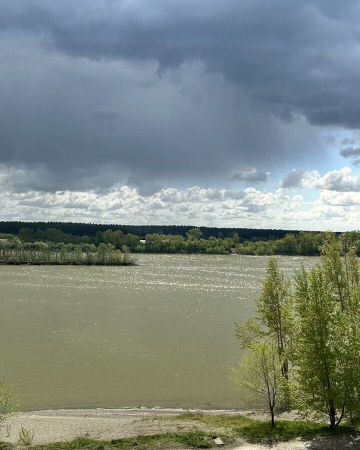 квартира г Бийск Зеленый клин ул Советская 199/6 фото 14