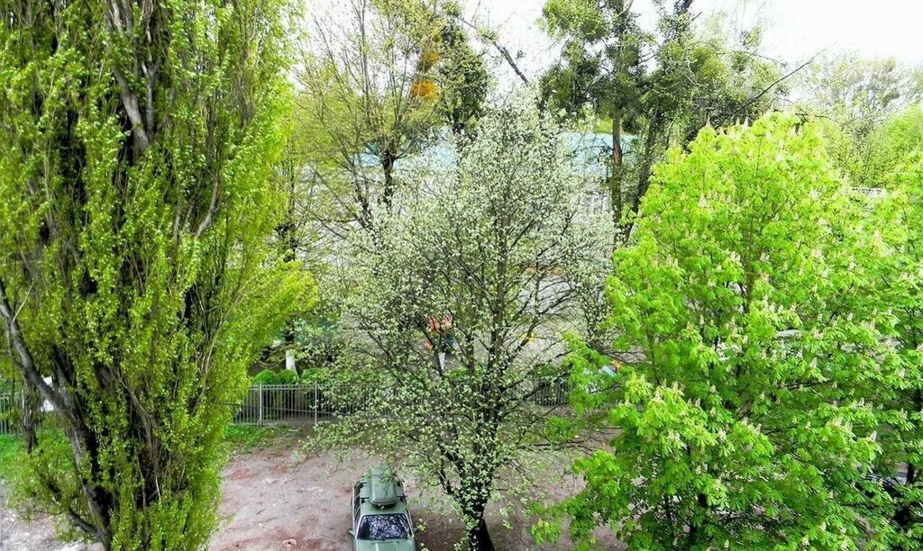квартира г Калининград р-н Московский пр-кт Ленинский 85б фото 15