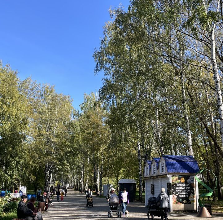 квартира г Пермь р-н Индустриальный ул Мира 10а фото 24