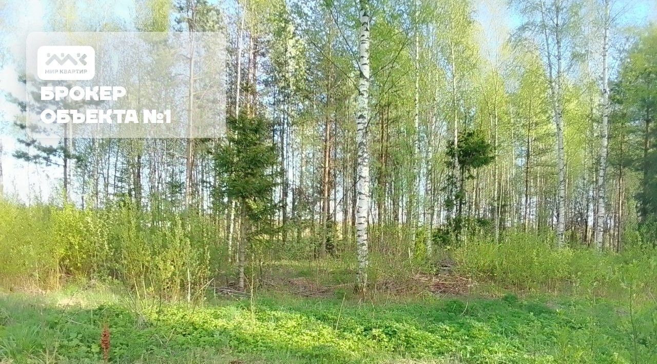 земля р-н Всеволожский г Всеволожск ул Новая Улица Дыбенко фото 12