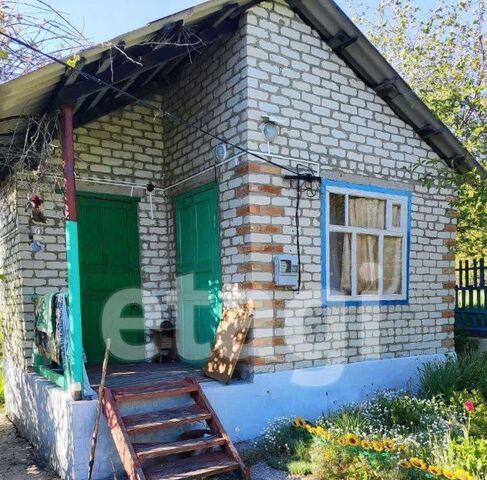 Восточный снт Луч 1 фото