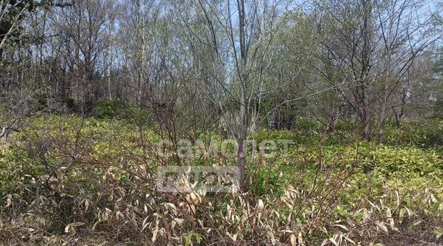 снт Ягодка Анивский городской округ фото