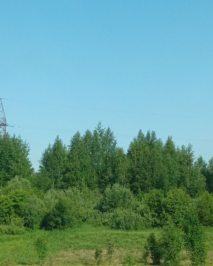 земля г Тобольск Левобережье Савинский затон фото 4