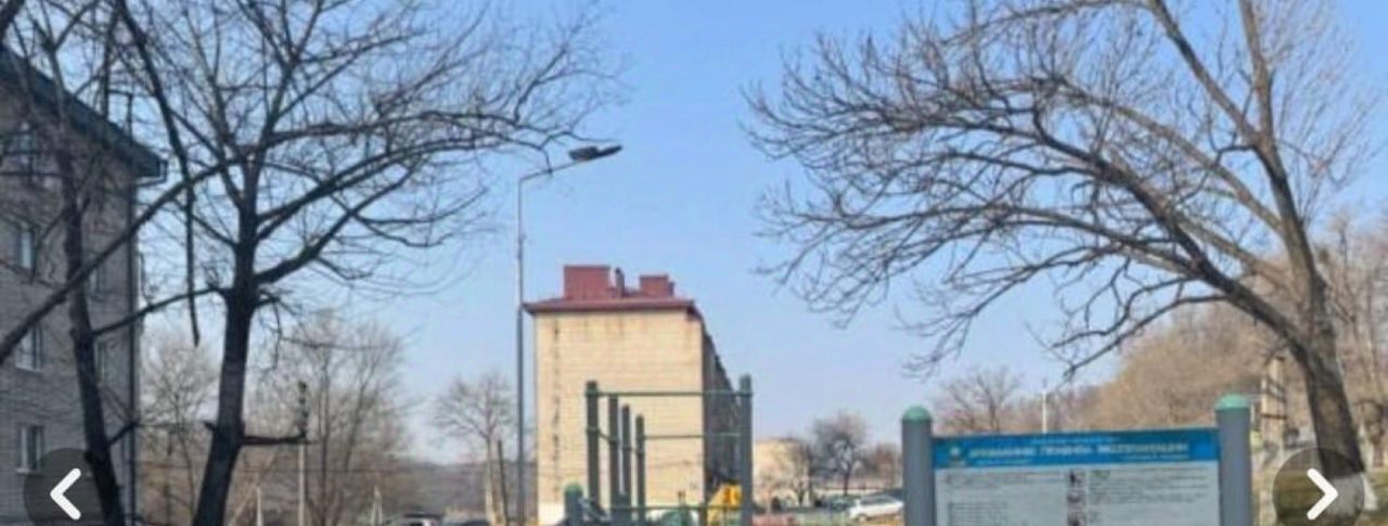 квартира г Артем пгт Артемовский с. Олений, ул. Силина, 42К 1 фото 17