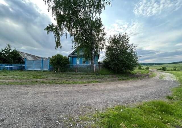 с Верхний Берсут ул Первомайская Республика Татарстан Татарстан, Усалинское сельское поселение, Мамадыш фото