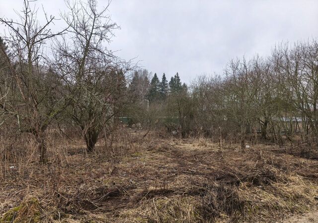 земля 52 км, Солнечногорск, Рогачёвское шоссе фото