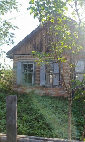 снт Березка фото