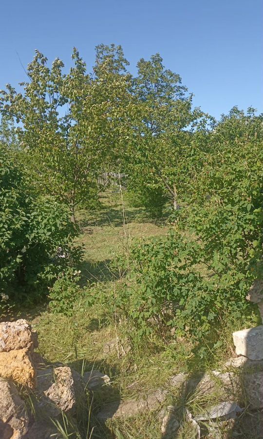 земля г Феодосия садовые участки Очистные, Малиновая ул фото 3