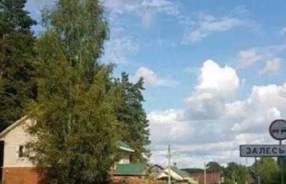 земля г Верхняя Пышма п Залесье ул Весенняя Екатеринбург фото 1
