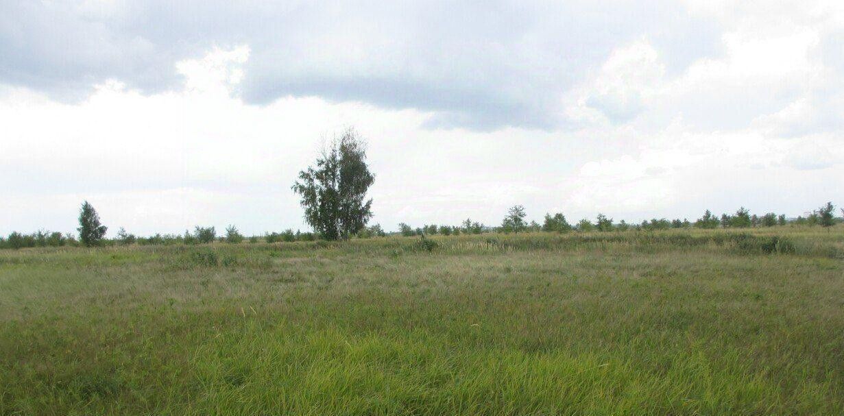 офис г Тольятти р-н Автозаводский ш Южное 145 фото 3