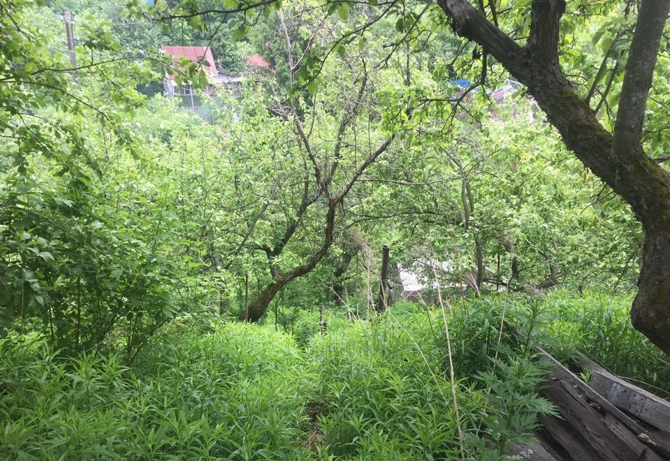 земля г Нижний Новгород р-н Приокский 684, СНТ Дружба фото 4