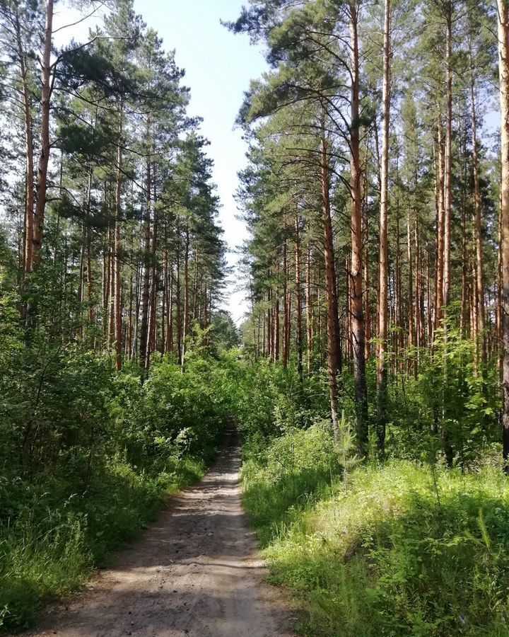 квартира г Бийск Заречье ул Южная 4 фото 13