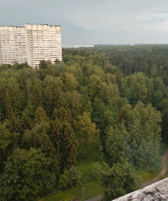 квартира г Зеленоград Зеленоград—Крюково, к 1201 фото 9