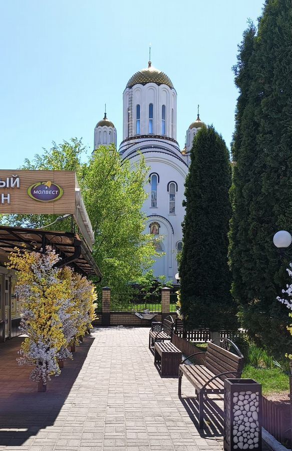 квартира г Воронеж р-н Коминтерновский пр-кт Московский 131а фото 15