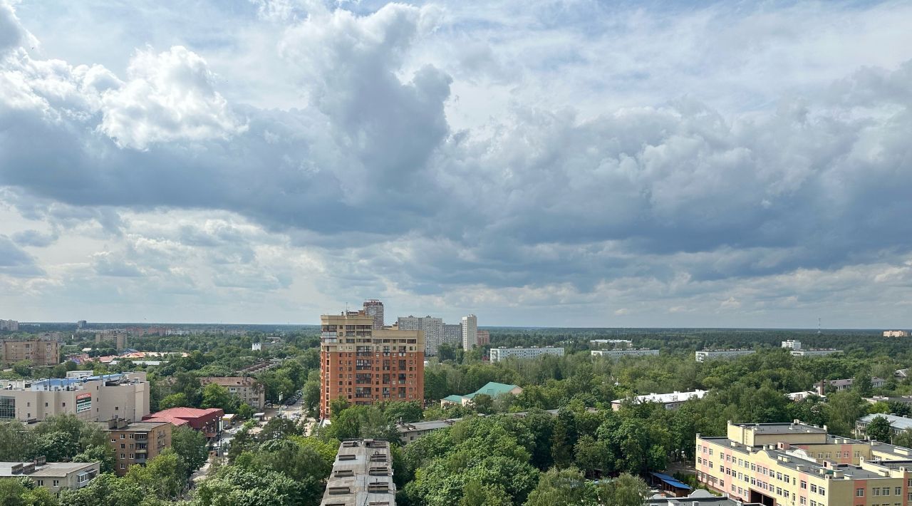 квартира г Наро-Фоминск р-н Центральный ул Тургенева 13 Пушкино фото 32