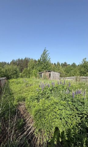 р-н Ленинский муниципальное образование Киров, СДТ Красная Гвоздика фото