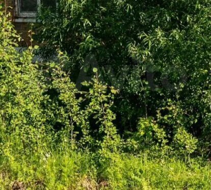 квартира г Ухта УРМЗ ул Школьная 4 фото 1