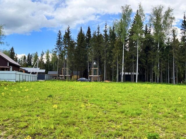 ш Рогачевское Дмитровский городской округ, Солнечногорск фото
