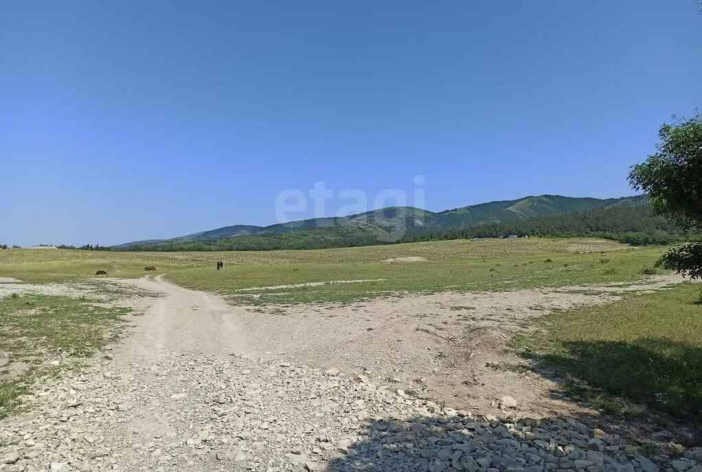 земля г Геленджик с Виноградное ул Дальняя фото 15