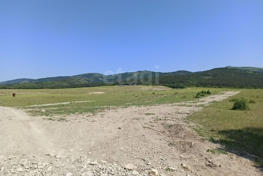 земля г Геленджик с Виноградное ул Дальняя фото 16