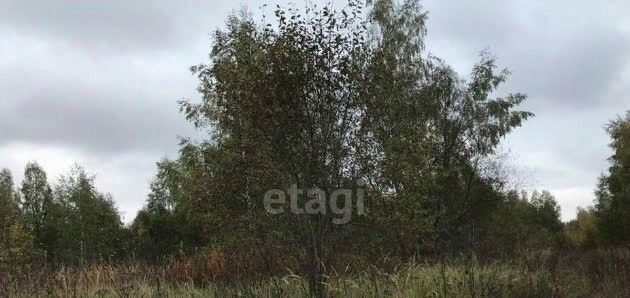 земля г Пенза р-н Железнодорожный снт Дубрава фото 1