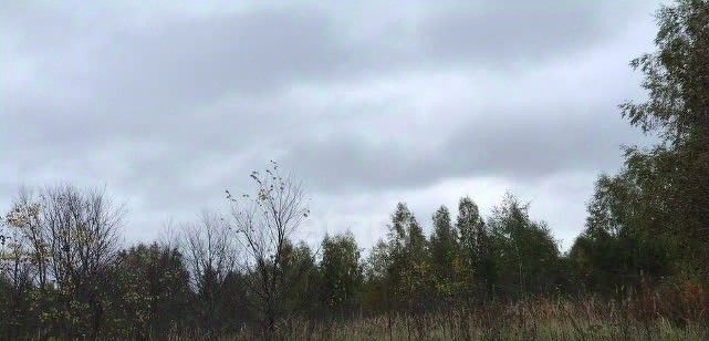 земля г Пенза р-н Железнодорожный снт Дубрава фото 2