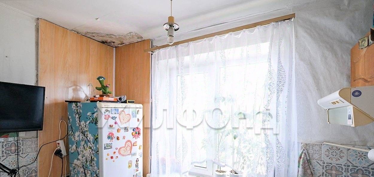 квартира г Новосибирск Речной вокзал ул Выборная 117 фото 17