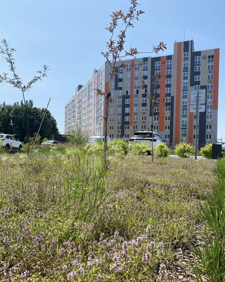 квартира г Тольятти р-н Автозаводский б-р Итальянский 6 фото 13
