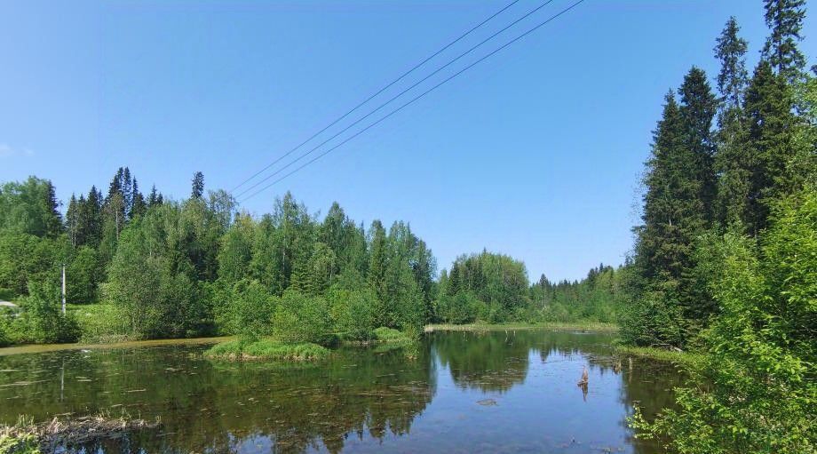 дом г Чайковский снт N 34 Березники фото 23